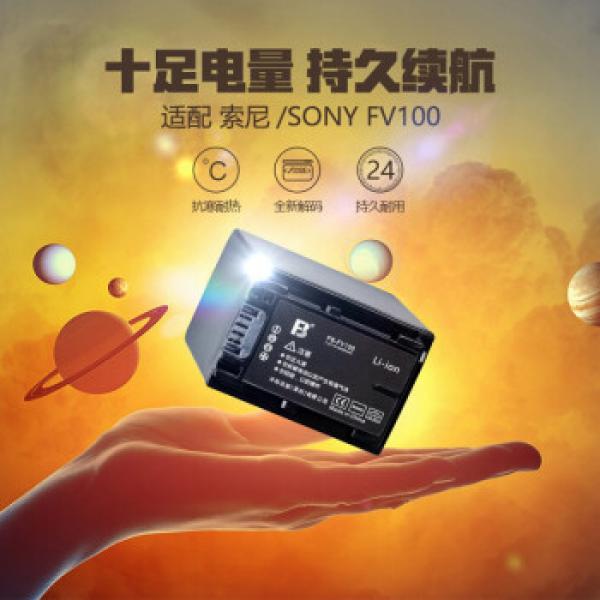 灃標 FV100電池