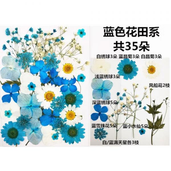 妃伶 手工貼畫 DIY 干花押花 藍色花田系
