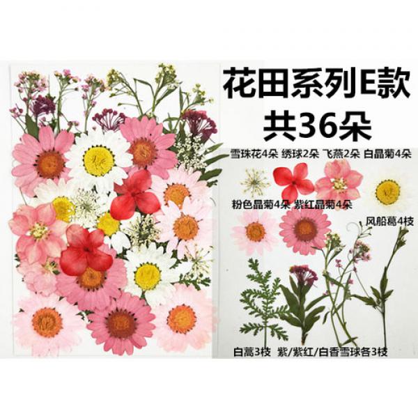 妃伶 手工貼畫 DIY 干花押花 粉色花田系