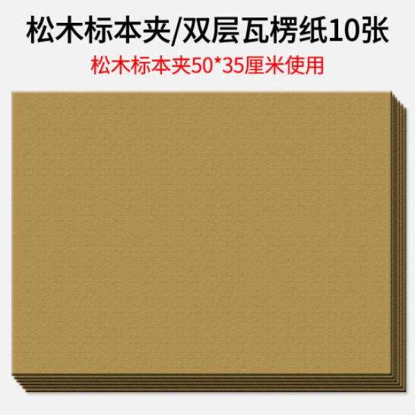 貝傅特 大號瓦楞紙10張【50*35cm】