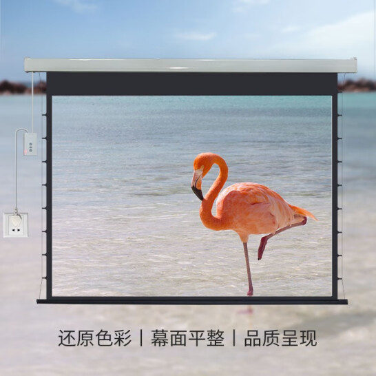 森顯 XC-G系列 高清電動拉線幕布 玻纖拉線幕布 XC-G100DWU（100英寸16:10）