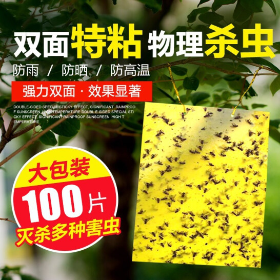 思米達 家用 粘蟲板 100張 25*20cm