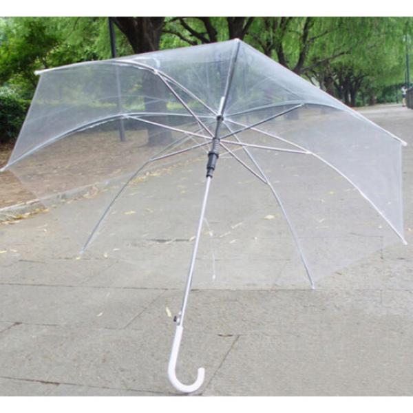贊璐桐  透明淺藍色雨傘