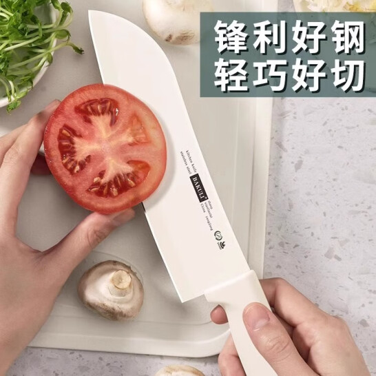 派萊斯 水果刀 家用削皮刀 廚房刀具 1把裝
