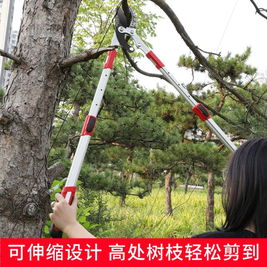 德力西 園林剪刀 枝花剪 修枝剪 伸縮加長(zhǎng)特省力型