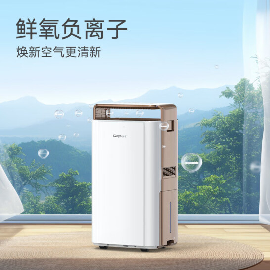德業（Deye）除濕機/抽濕機 除濕量58升/天 DYD-V58A3