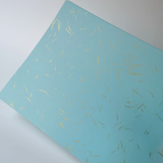 藝彩宸 200克金絲紋封面紙 彩色封皮紙 彩色封面紙 金絲紋淺藍A4 50張