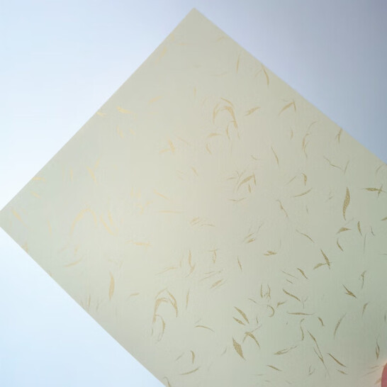 藝彩宸 200克金絲紋封面紙 彩色封皮紙 彩色封面紙 金絲紋淺黃A4 50張