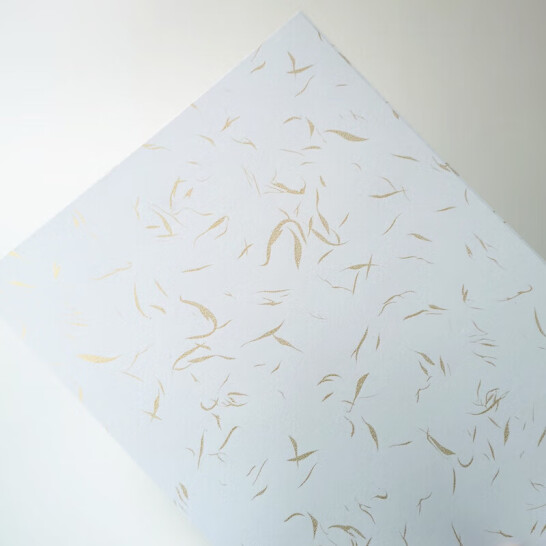 藝彩宸 200克金絲紋封面紙 彩色封皮紙 彩色封面紙 金絲紋白色A4 50張