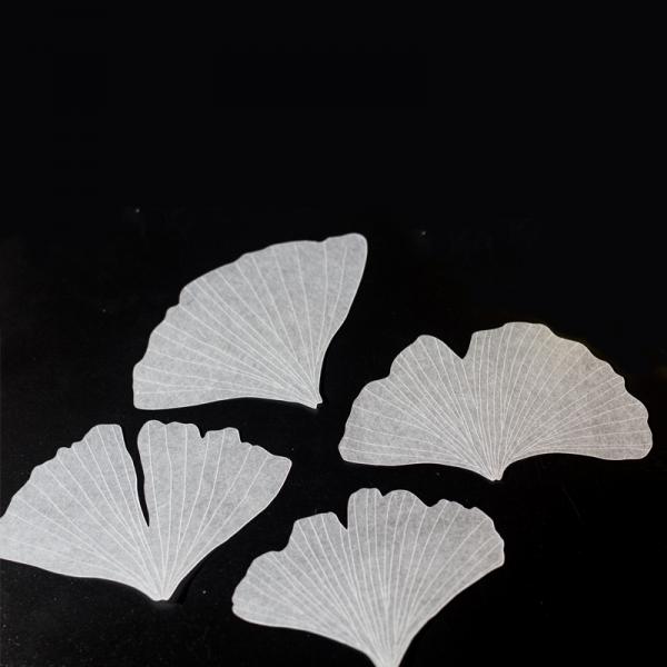 嘉嚞 銀杏葉免扣切片 熱縮片切片 DIY手工材料
