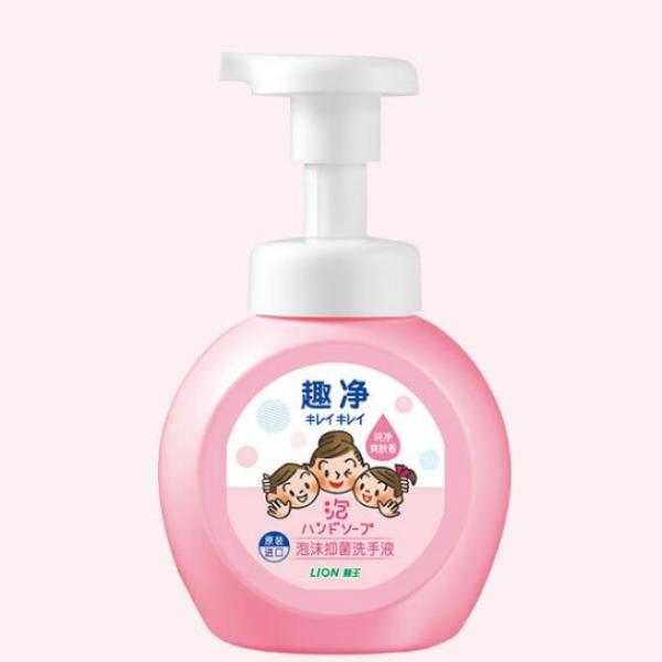 獅王（Lion）趣凈泡沫 抑菌洗手液 水潤爽膚 香型 瓶裝250ml 兩瓶裝