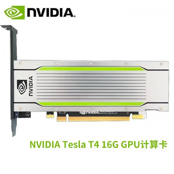 英偉達（NVIDIA）Tesla系列T4 深度學習 GPU 訓練推理 Tesla T4 16G