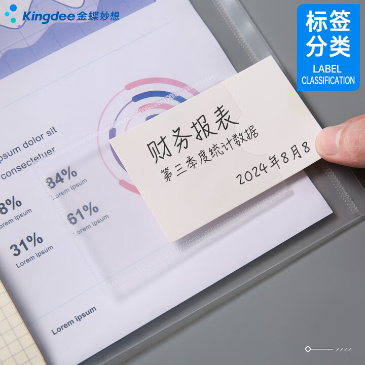 金蝶（kingdee）10個裝 A4按扣透明文件袋 帶標(biāo)簽款 WJGL2007
